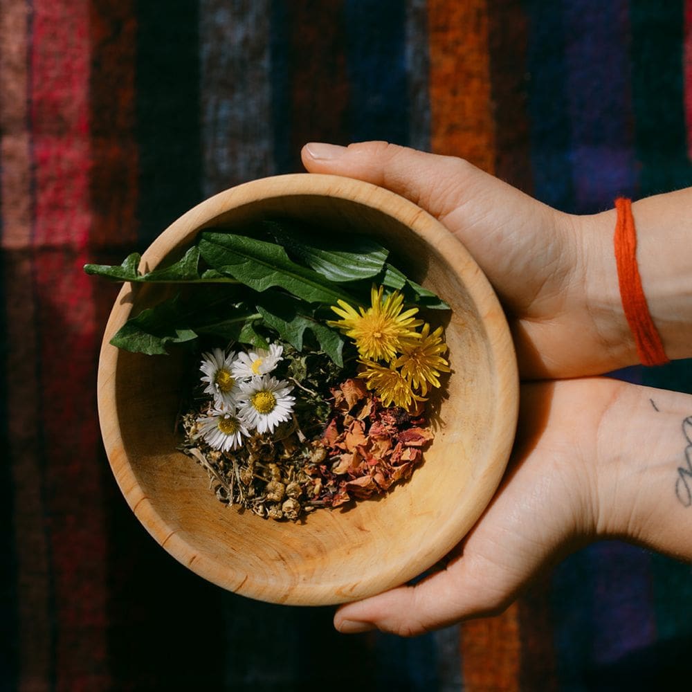 hands holding bowl of herbs